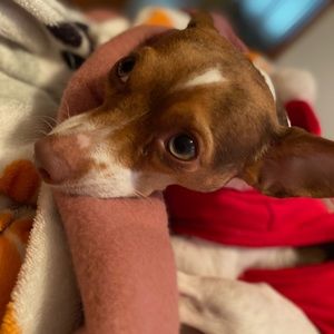 Meet your Posher, Sue